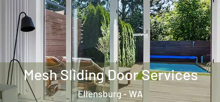  Mesh Sliding Door Services Ellensburg - WA